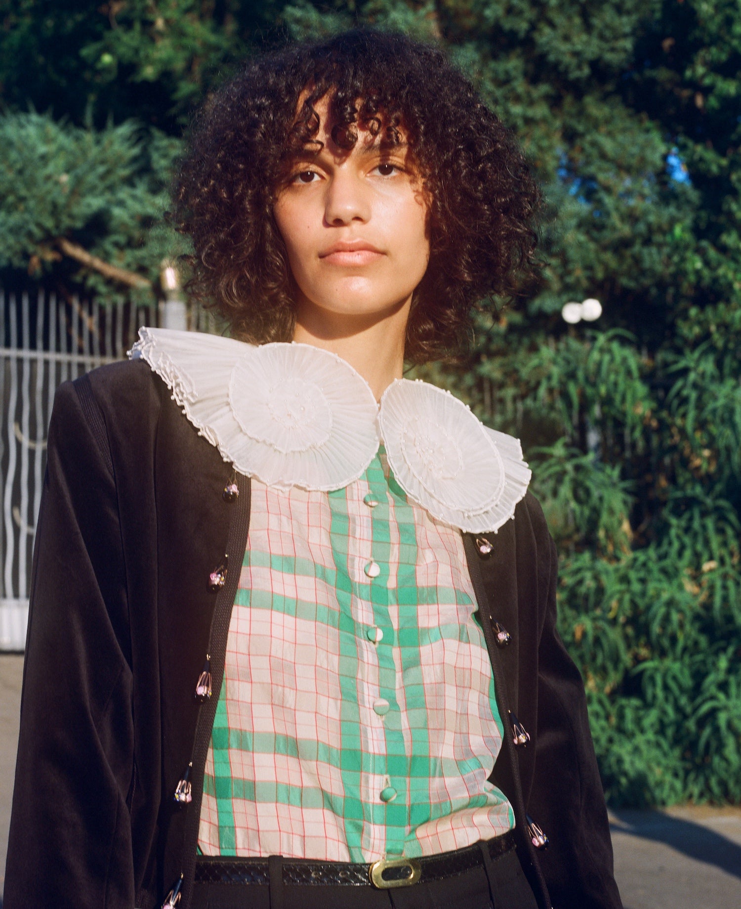 Piccolo Toro — Eggplant