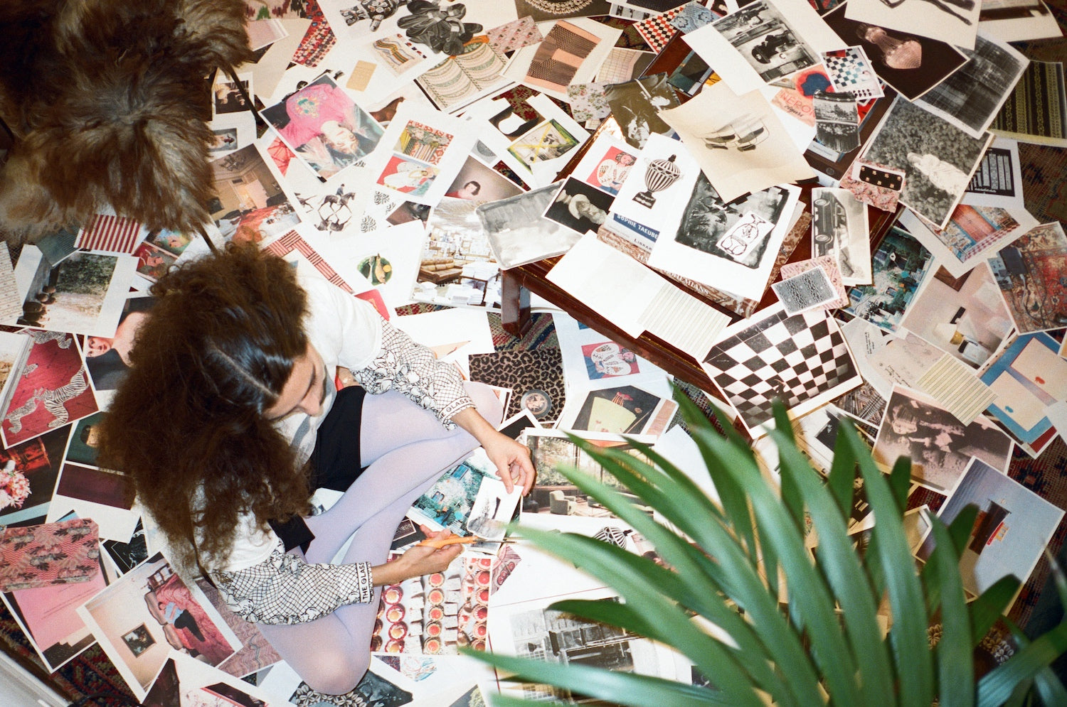 Pepper's Dilemma Shirt