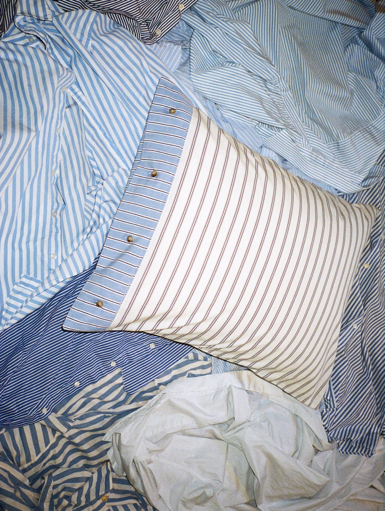 Case Study No. 2  — Dream Work